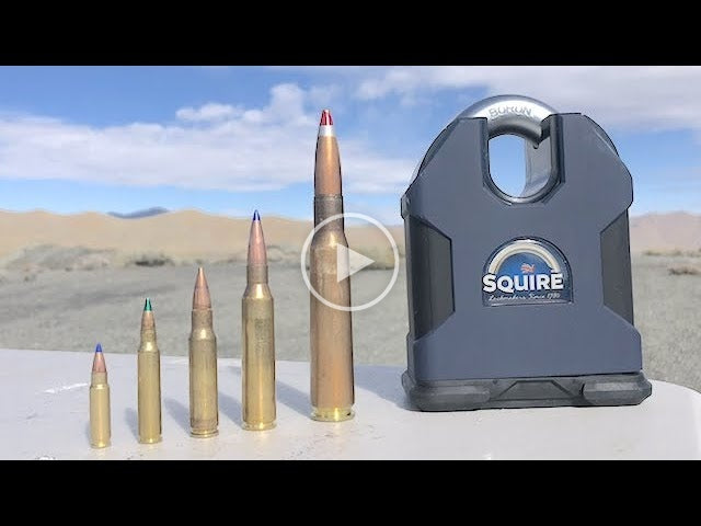 Worlds strongest Padlock vs 50cal and AWM